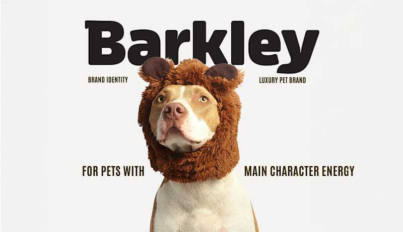 Cover image for Luxury Branding for Pet Brand - Barkley