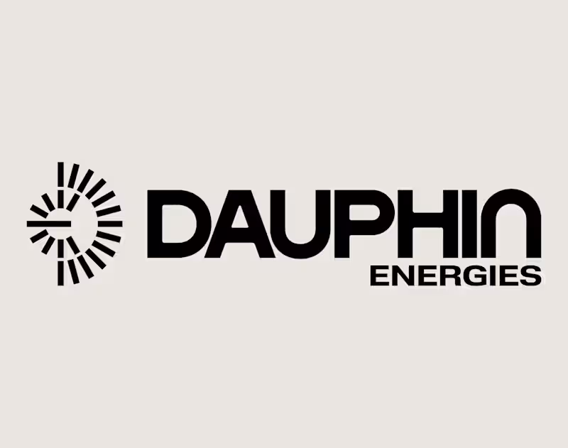 Cover image for Dauphin Energies - Brand identity