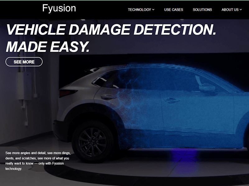 Cover image for Fyusion, Inc