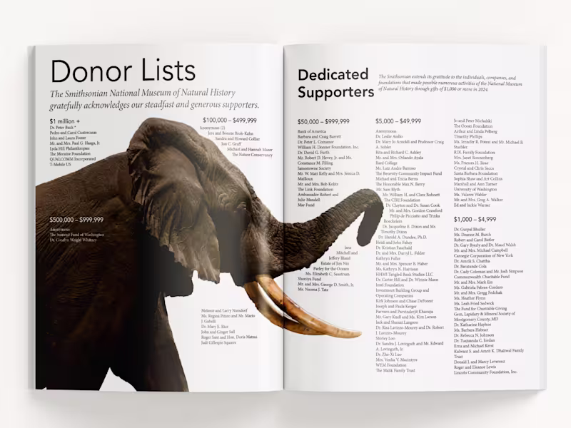 Cover image for Impact Report Design - Print or Digital