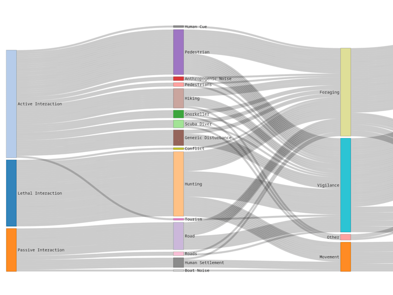 Cover image for Systematic Review of Animal Responses to Human Interactions