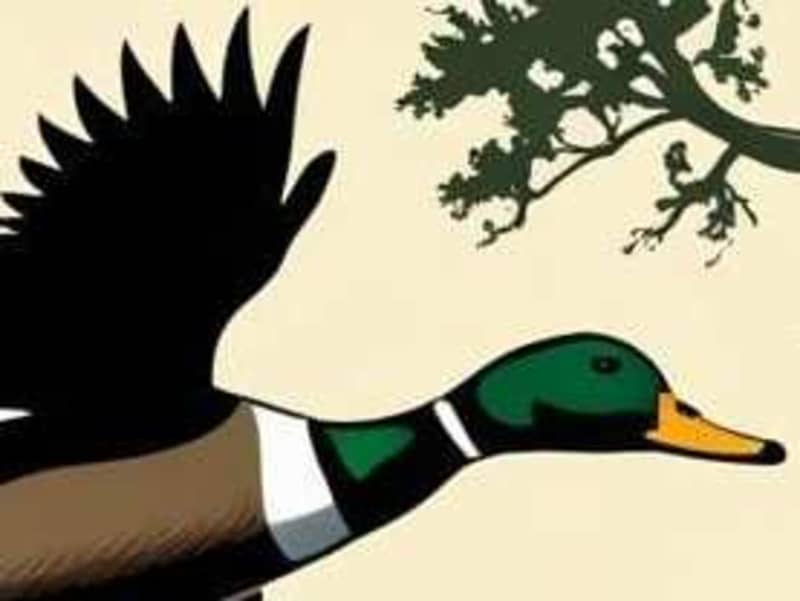 Cover image for modern