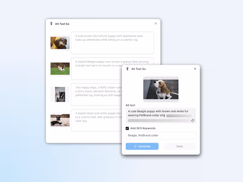 Cover image for  Alt Text Go - Framer Plugin development