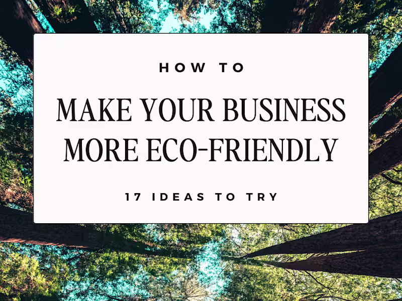 Cover image for How to Make Your Small Business More Eco-Friendly & Sustainable…