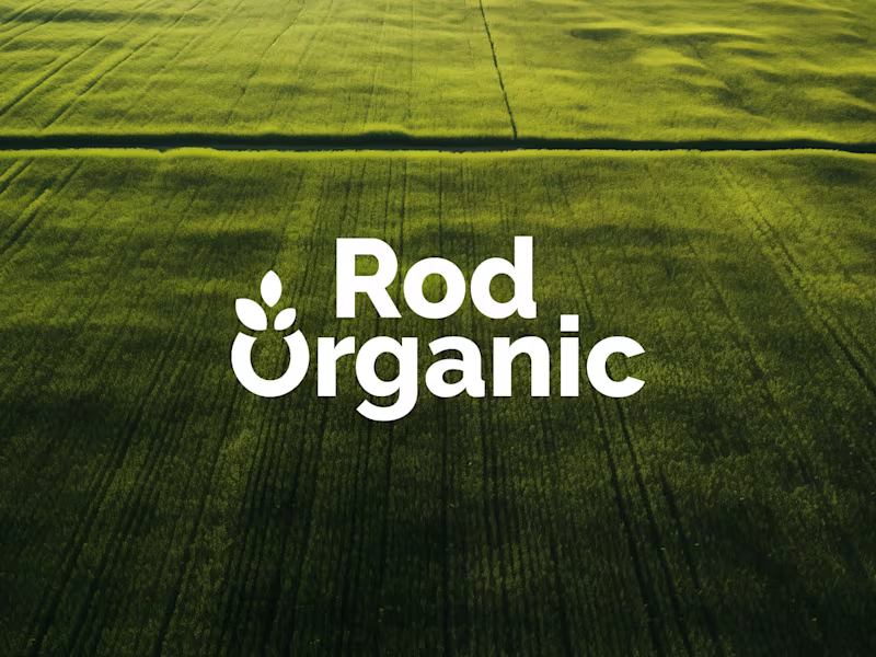 Cover image for Logo Design (Deadline -> Yesterday)