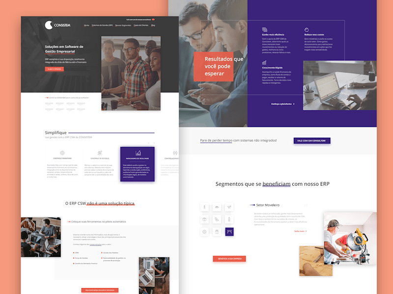 Cover image for Consistem Redesign