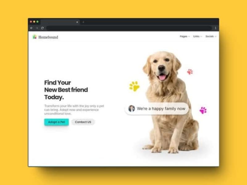 Cover image for Non-Profit Organization Framer Website 