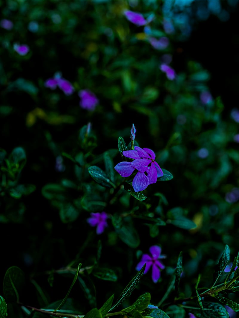 Cover image for Colour grading 