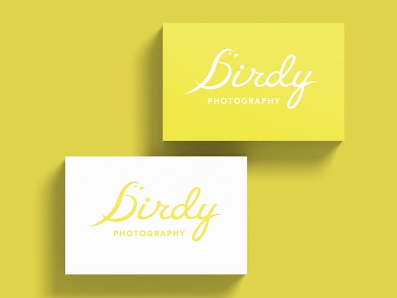 Cover image for Birdy Branding