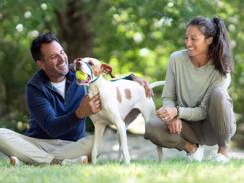 Cover image for PetSafe Amazon