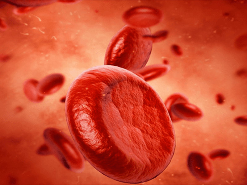 Cover image for 3D Medical animation