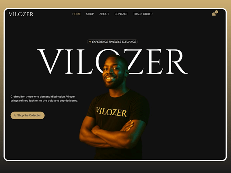 Cover image for Vilozer Website Design and Development