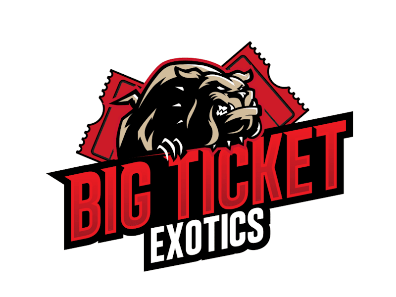 Cover image for Big Ticket Logo Development