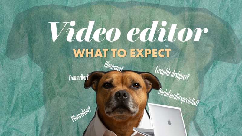 Cover image for What to Expect from a Video Editor