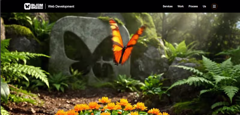 Cover image for A visually rich landing page