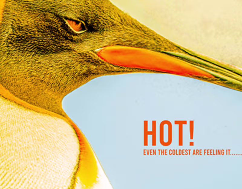 Cover image for Magazine Cover Page Design