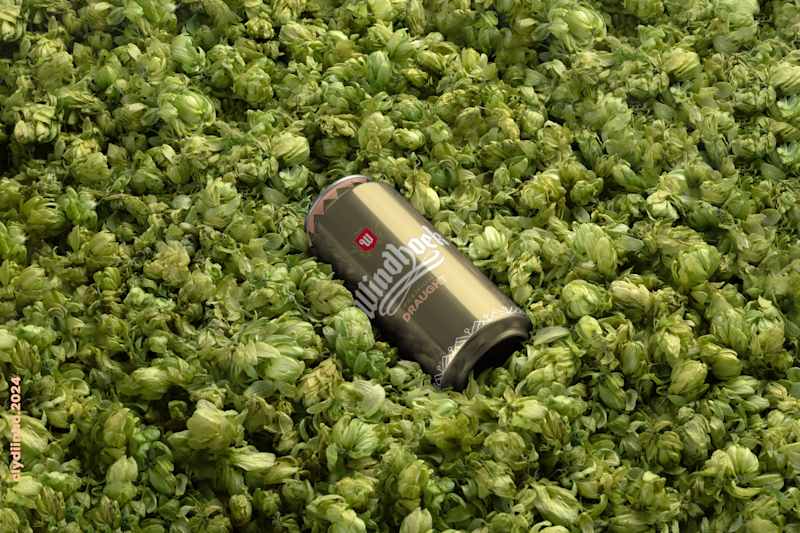 Cover image for Brewvolution: Rethinking Beer Packaging