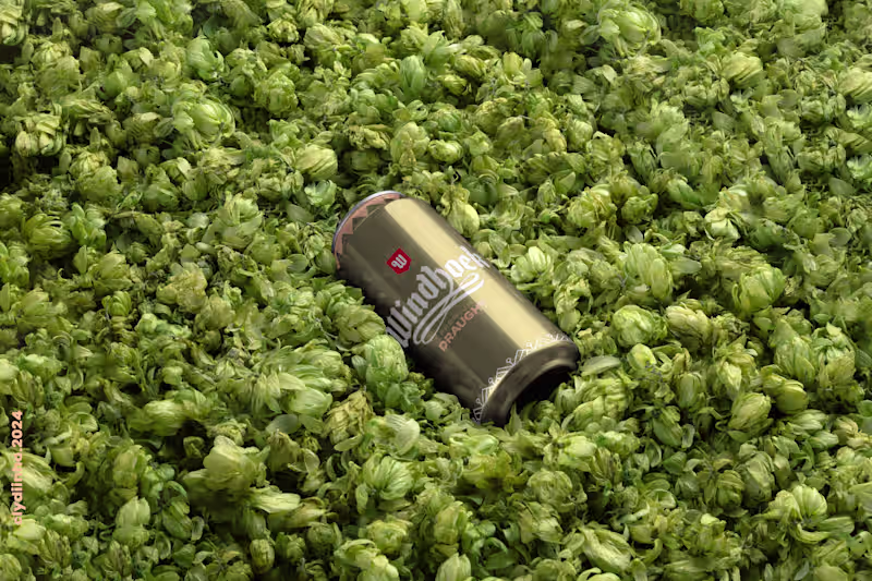 Cover image for Brewvolution: Rethinking Beer Packaging