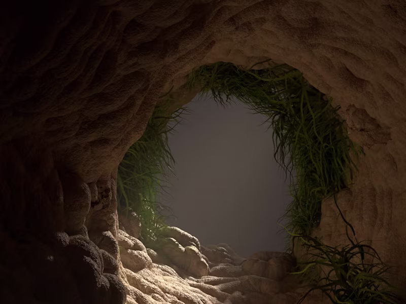 Cover image for The Hidden World- Rahasya
