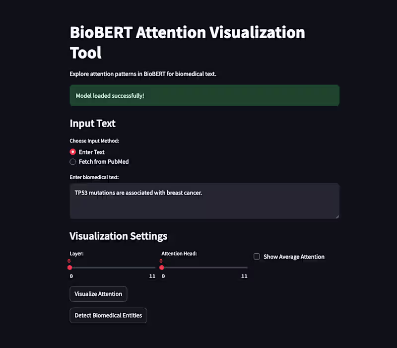 Cover image for BioBERT Attention Visualization Tool
An interactive