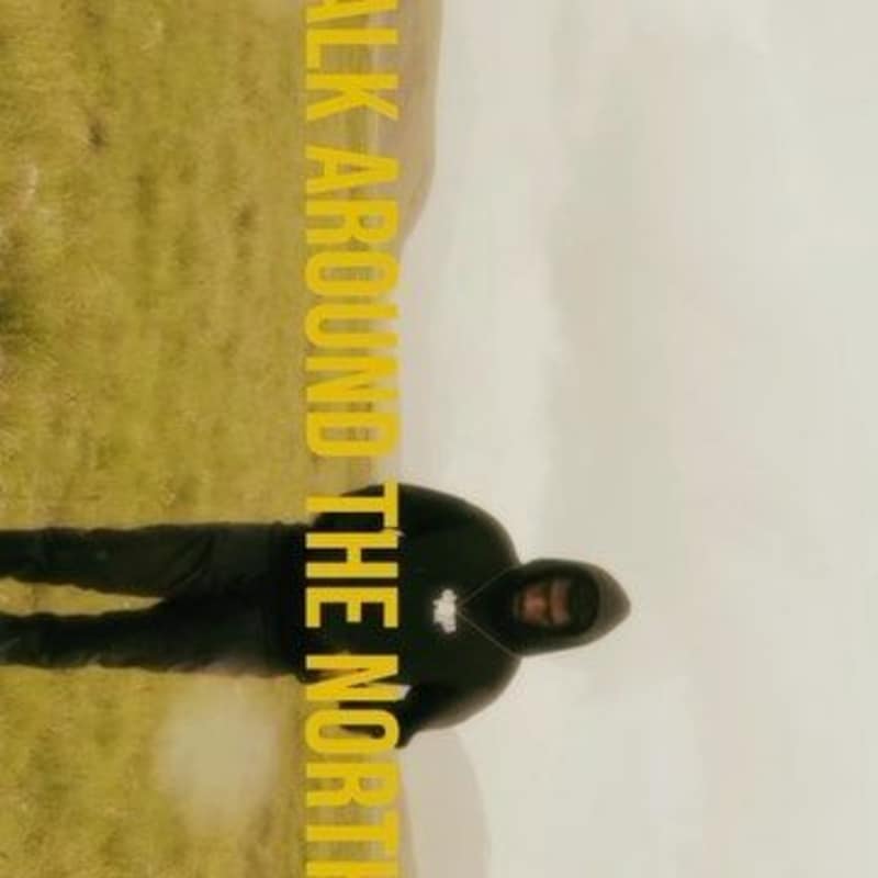 Cover image for Lets take a walk.
