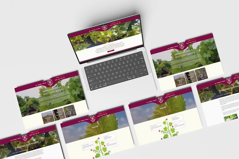 Cover image for Negev Wine Revival Wix Website Design