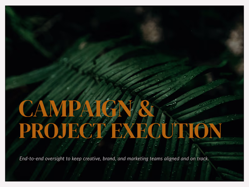 Cover image for Campaign & Project Execution