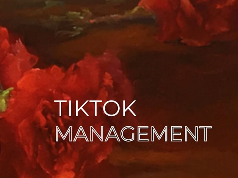 Cover image for Tiktok Management