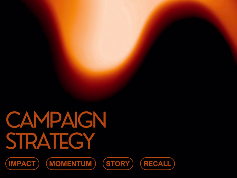 Cover image for Campaign Strategy