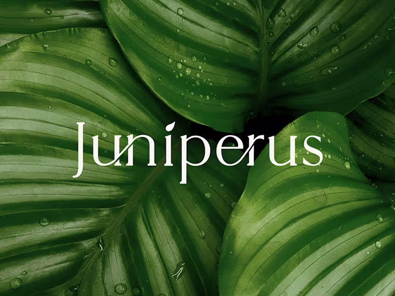 Cover image for Brand Identity Package