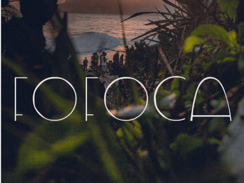 Cover image for Personalized Swimsuit Brand Font :: Behance