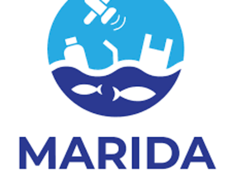 Cover image for Floating Marine Debris Detection Using Remote Sensing Data