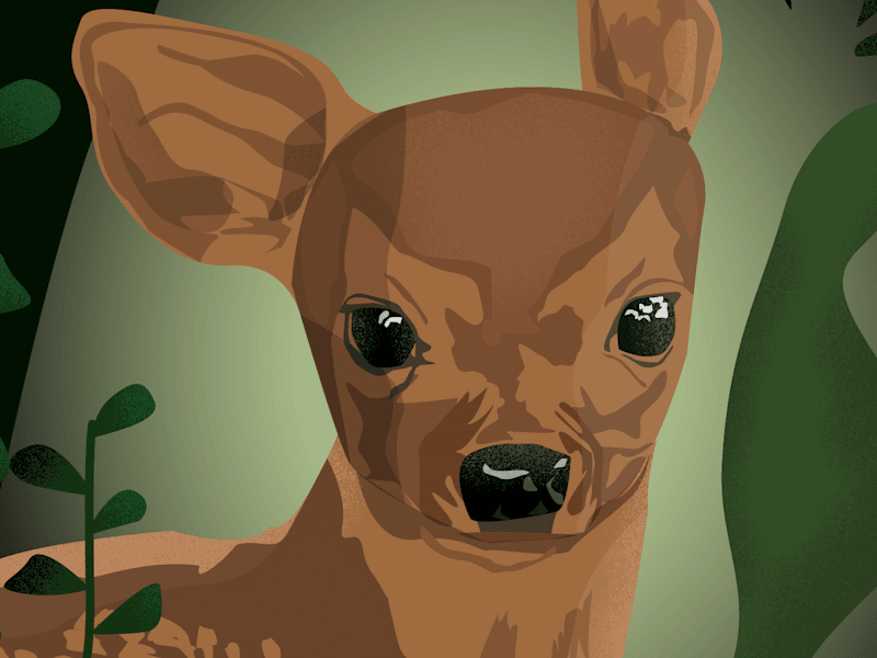 Cover image for Behance