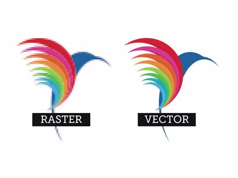 Cover image for I will do vector tracing for any design in just 24 hours