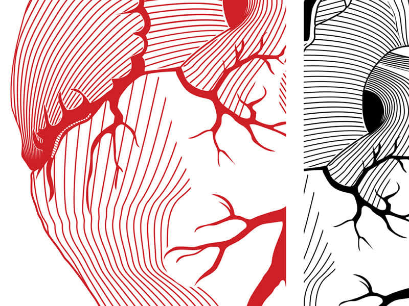 Cover image for Heart illustration made for Wroclaw Medical Univeristy