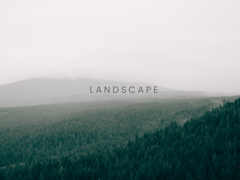 Cover image for Landscaping Ad