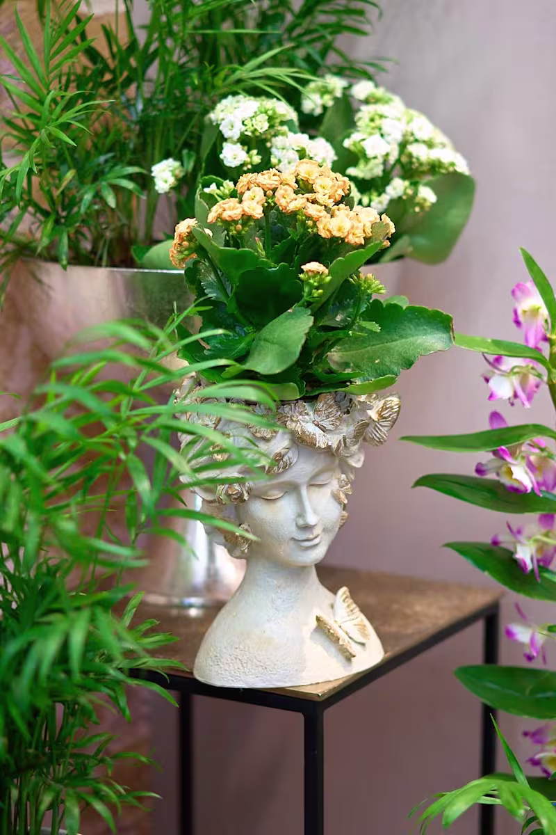 Cover image for Atelier - Product Photography