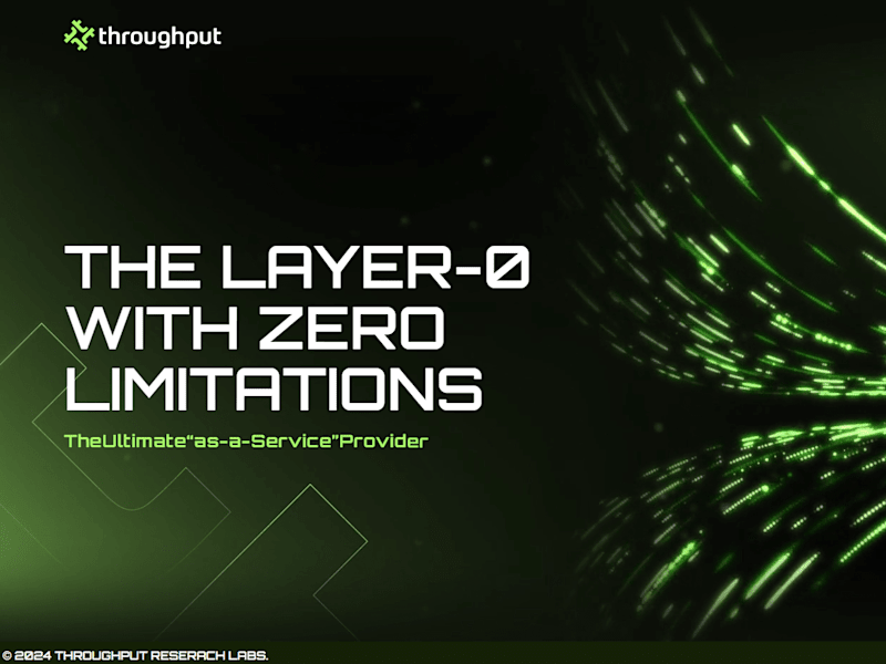 Cover image for Throughput