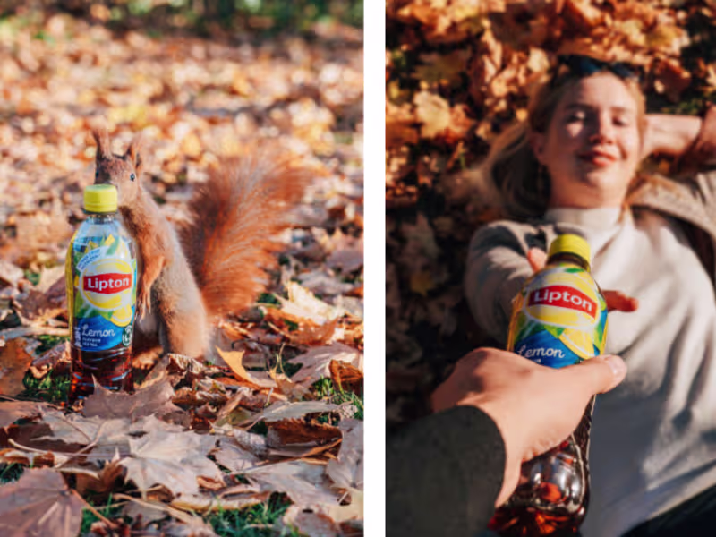 Cover image for Content Creation