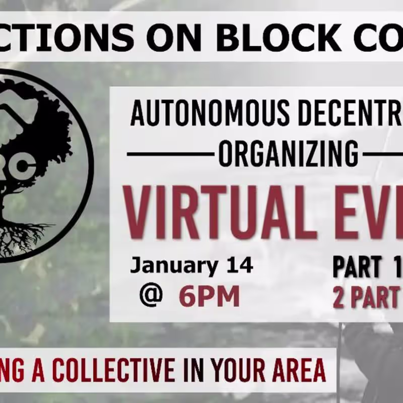 Cover image for Branding: Deep Roots Collective