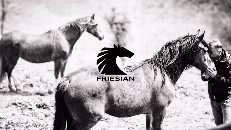 Cover image for Friesian 1963 Brand Design