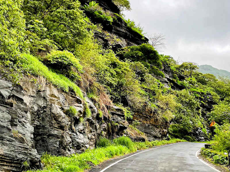 Cover image for Krish___gohil