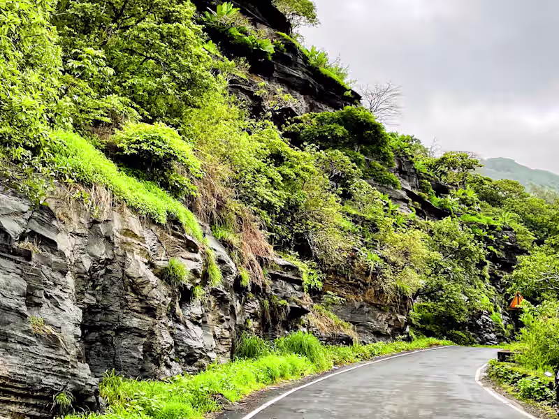 Cover image for Krish___gohil