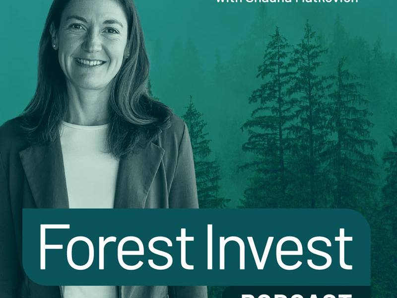 Cover image for Forest Invest Podcast