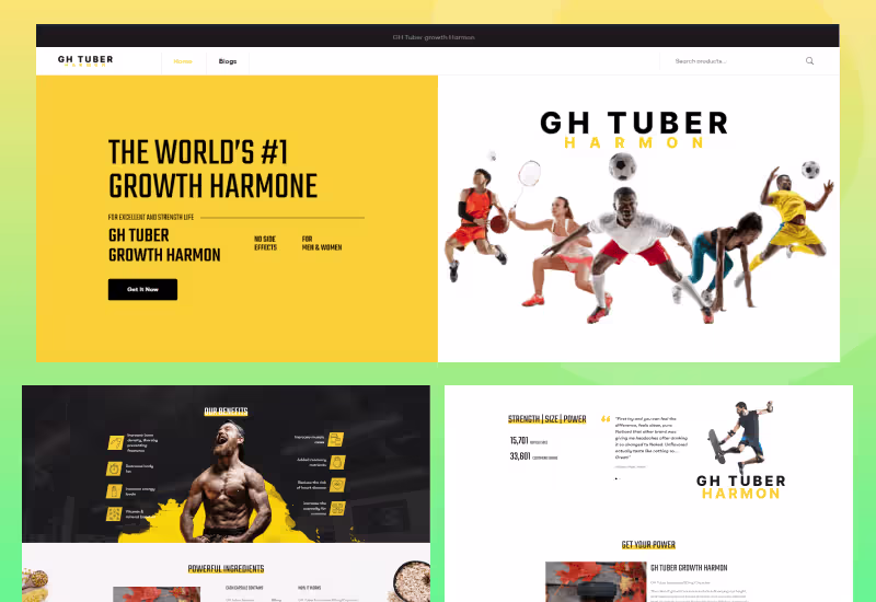 Cover image for Web Development Services