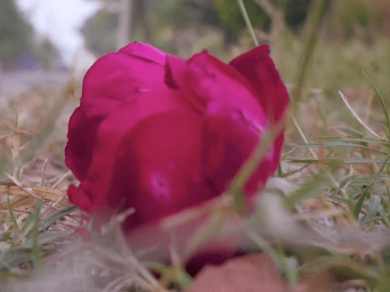 Cover image for Video Production