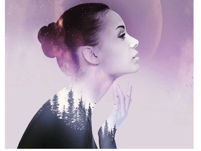 Cover image for Designs