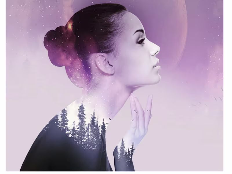 Cover image for Designs