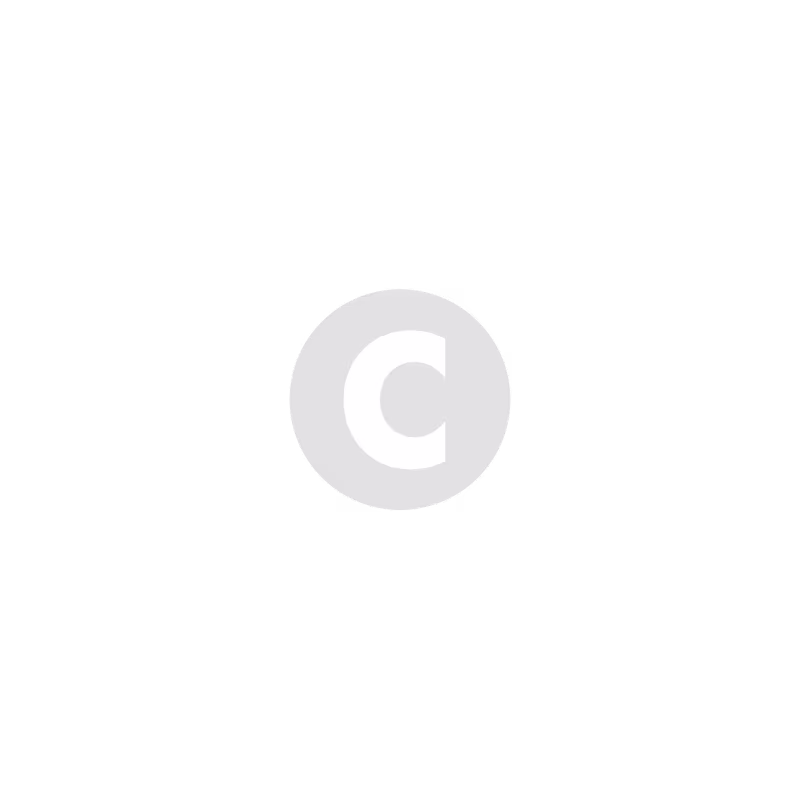 Cover image for canvas champ