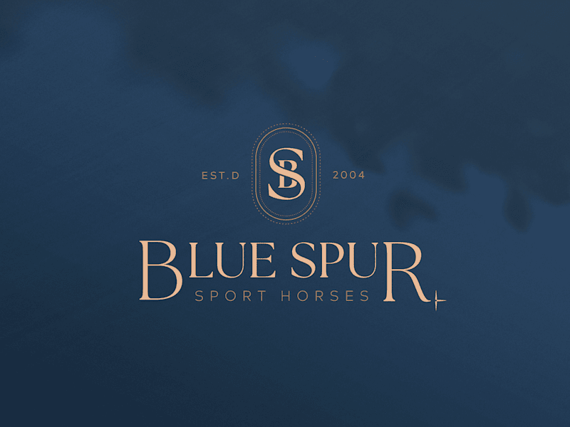 Cover image for [Brand Identity Design] Blue Spur Sport Horses